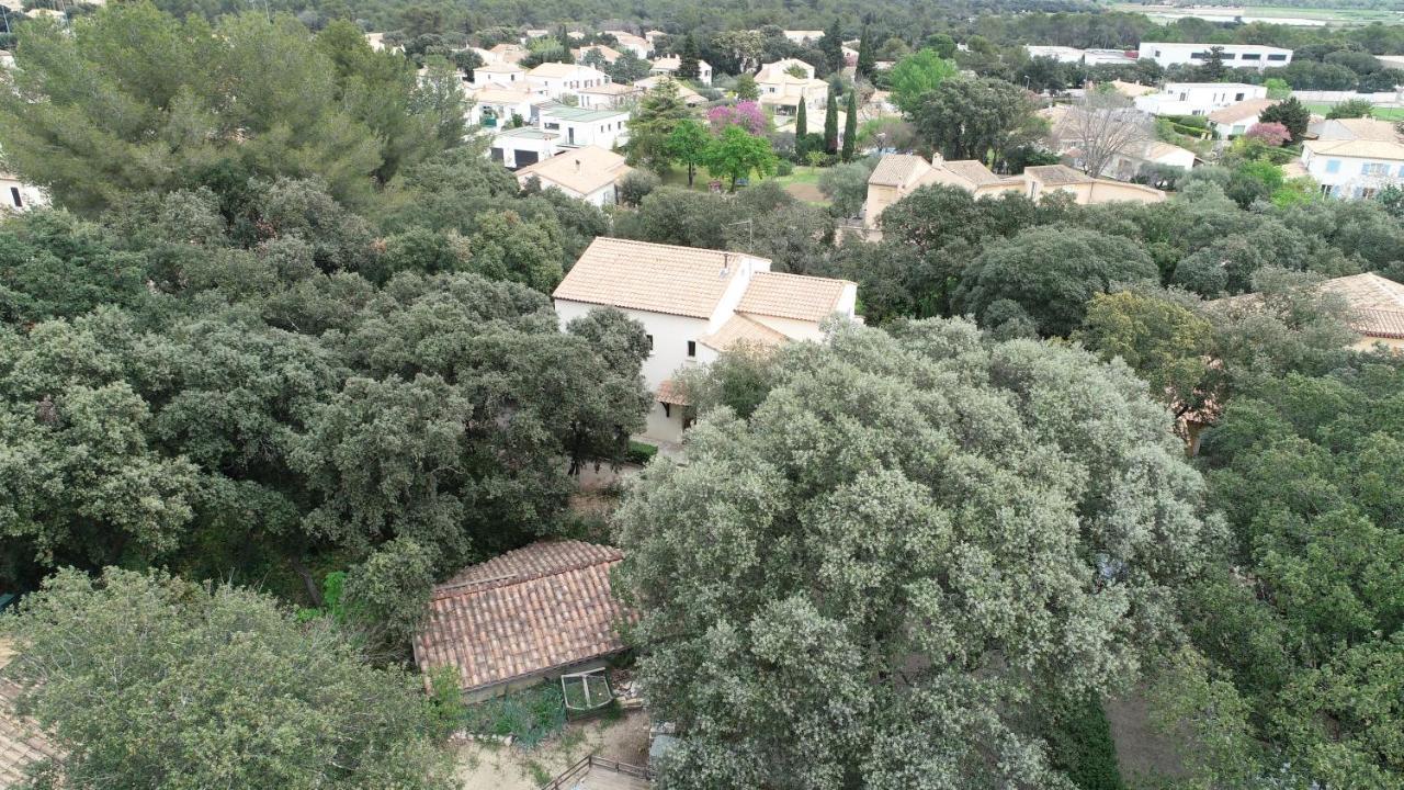 Magnifique Demeure Familiale Villa Кастри Екстериор снимка